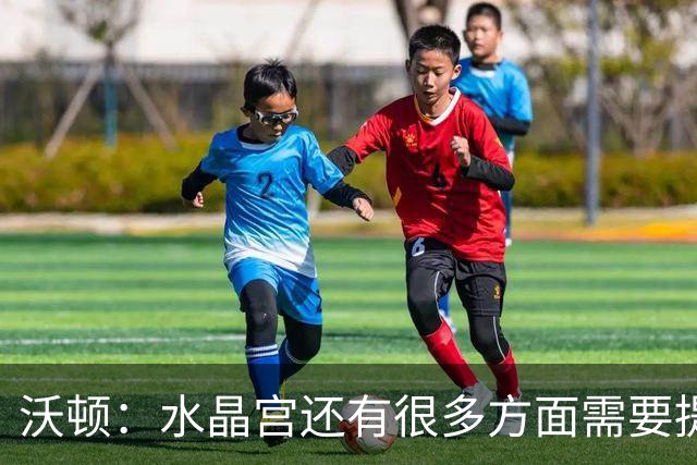 沃顿：水晶宫还有很多方面需要提升，不过我们在朝着正确方向迈进